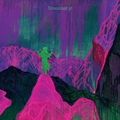 DINOSAUR JR.-Give A Glimpse Of What Yer Not