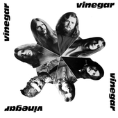 VINEGAR-s/t