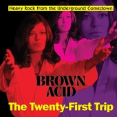 V/A-Brown Acid: The 21th Trip