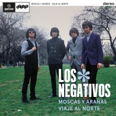 NEGATIVOS-Moscas y Arañas/Viaje al Norte