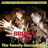 V/A-Brown Acid: The Twenty-Second Trip