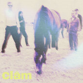 CLÂM-s/t (col)