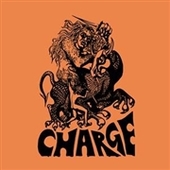 CHARGE-s/t