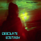 SCHIZO FUN ADDICT-Desolate Ecstasy