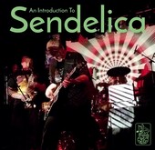 SENDELICA-An Introduction
